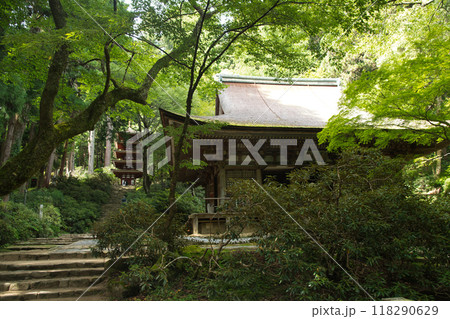 女人高野・室生寺(本堂と五重塔)   【奈良県宇陀市室生】 118290629