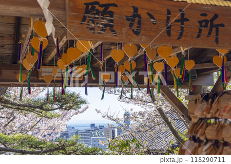 春の神戸 北野天満神社 満開の桜と願かけ所 春の神戸 北野天満神社 満開の桜と願かけ所 118290711