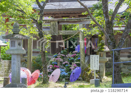 壷阪寺　龍蔵宮と紫陽花 118290714