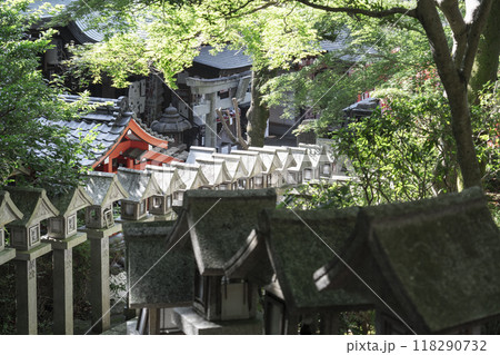奈良　朝護孫子寺　石灯籠がずらりと並ぶ参道 118290732