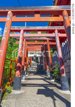 奈良　朝護孫子寺　行者堂までの鳥居が並ぶ参道　 118290738