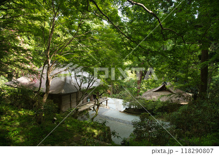 女人高野・室生寺(金堂・弥勒堂)　【奈良県宇陀市室生】 118290807