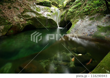 龍鎮の滝 【奈良県宇陀市】 龍鎮の滝 【奈良県宇陀市】 118290943