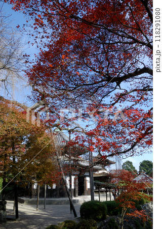 Autumn leaves @Kyoto / 紅葉が見頃の京都の古刹寺院(西方善峯寺) Autumn leaves @Kyoto / 紅葉が見頃の京都の古刹寺院(西方善峯寺) 118291080