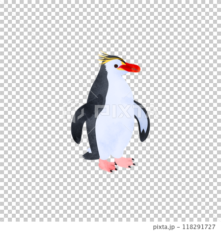 皇家企鵝。水彩風格插圖。 皇家企鵝。水彩風格插圖。 118291727