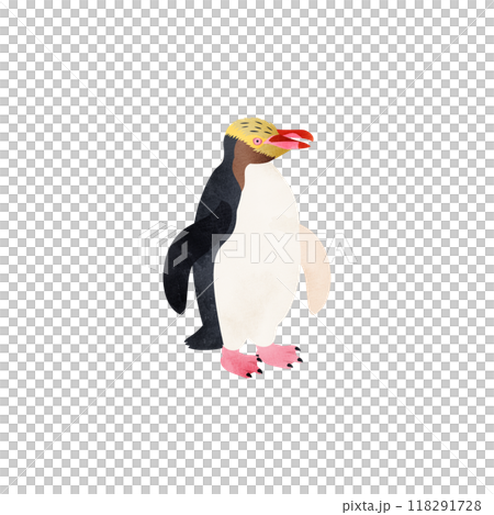 王企鵝(木頭企鵝)。水彩風格插圖。 王企鵝(木頭企鵝)。水彩風格插圖。 118291728