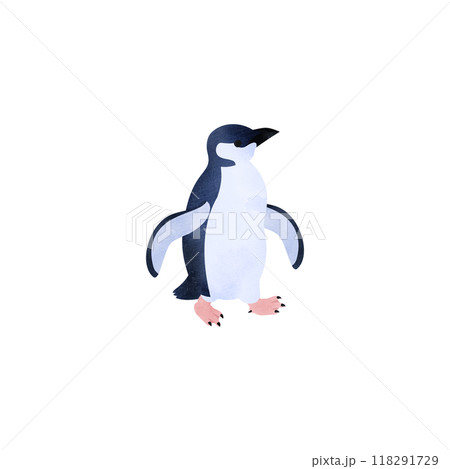 コガタペンギン（リトルペンギン、フェアリーペンギン）。水彩風イラスト。 118291729