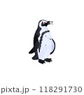 ケープペンギン（アフリカペンギン）。水彩風イラスト。 118291730