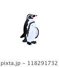 フンボルトペンギン。水彩風イラスト。 118291732