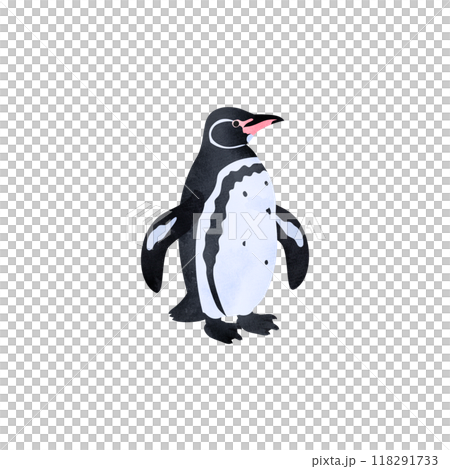 Galapagos penguins. Watercolor style illustration. 118291733