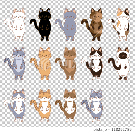 Cat pattern illustration set 118291789