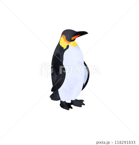 コウテイペンギン(エンペラーペンギン)。水彩風イラスト。 コウテイペンギン(エンペラーペンギン)。水彩風イラスト。 118291833
