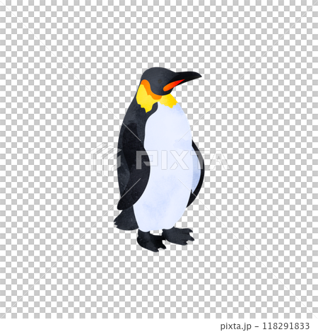 コウテイペンギン(エンペラーペンギン)。水彩風イラスト。 コウテイペンギン(エンペラーペンギン)。水彩風イラスト。 118291833
