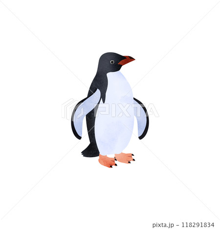 アデリーペンギン。水彩風イラスト。 アデリーペンギン。水彩風イラスト。 118291834