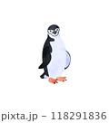 ヒゲペンギン。水彩風イラスト。 118291836