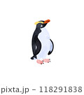 フィヨルドランドペンギン（キマユペンギン、ヴィクトリアペンギン）。水彩風イラスト。 118291838