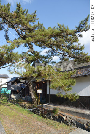 宿場町平福 本陣名残の松 兵庫県佐用町 宿場町平福 本陣名残の松 兵庫県佐用町 118292107
