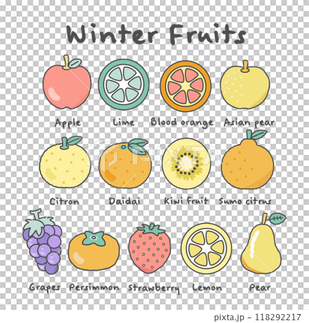 冬果物　フルーツ　イラストセット 118292217