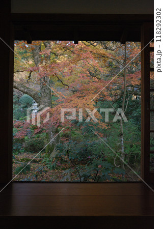 Autumn leaves in Japanese garden / お屋敷から眺める日本庭園の紅葉 Autumn leaves in Japanese garden / お屋敷から眺める日本庭園の紅葉 118292302