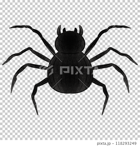 Hand drawn halloween spider Happy Halloween day set of elements Hand drawn halloween spider Happy Halloween day set of elements 118293249