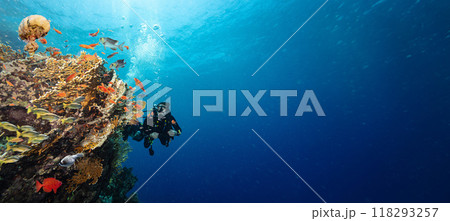 Scuba Diver Swimming in Deep Sea with Sunrays and Beautiful Coral Reef with Colorful Fishes 118293257