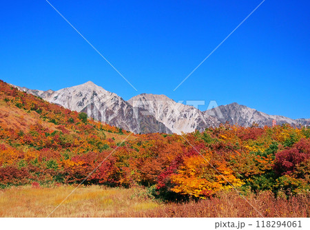 八方尾根 鎌池湿原の紅葉 118294061
