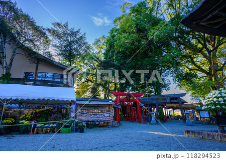夕暮れ光芒を浴びている境内風景と菊祭り風景 青井阿蘇神社(国宝)人吉市 夕暮れ光芒を浴びている境内風景と菊祭り風景 青井阿蘇神社(国宝)人吉市 118294523