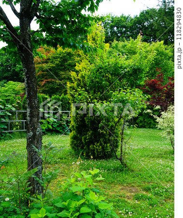 北海道 十勝ヒルズ 北海道 十勝ヒルズ 118294830