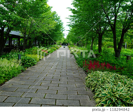 北海道　十勝ヒルズ 118294842