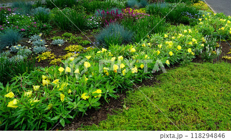 北海道 十勝ヒルズ 北海道 十勝ヒルズ 118294846