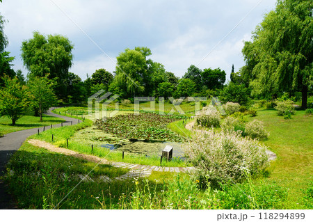 北海道　十勝ヒルズ 118294899