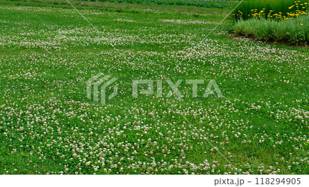 北海道 十勝ヒルズ 北海道 十勝ヒルズ 118294905