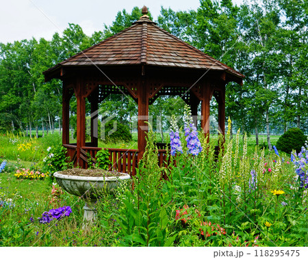 北海道　紫竹ガーデン 118295475