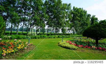 北海道　紫竹ガーデン 118295485