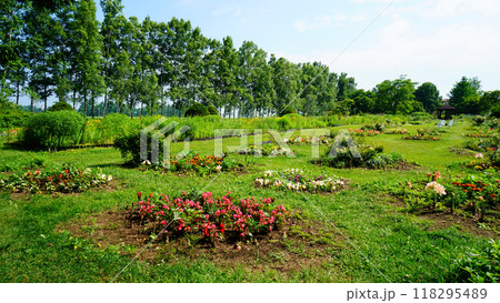 北海道　紫竹ガーデン 118295489