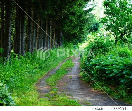 北海道　紫竹ガーデン 118295510