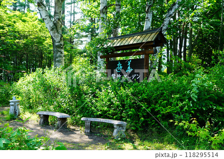 北海道　紫竹ガーデン 118295514