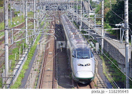 上越新幹線　上毛高原　JR東日本　E3系　L65編成（仙台）　つばさ 118295645