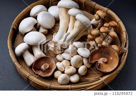 キノコ集合 118295872