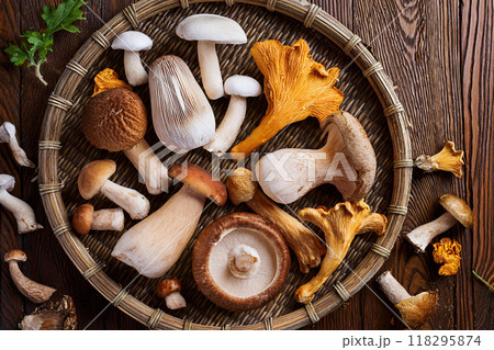 キノコ集合 キノコ集合 118295874