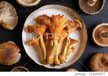 キノコ集合 118295877