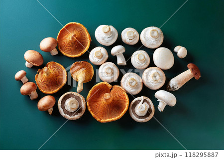 キノコ集合 118295887