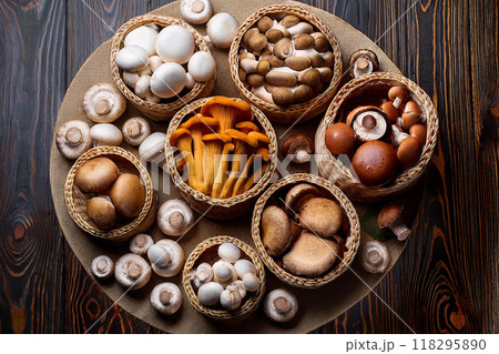 キノコ集合 118295890