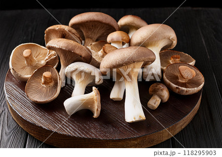 キノコ集合 118295903
