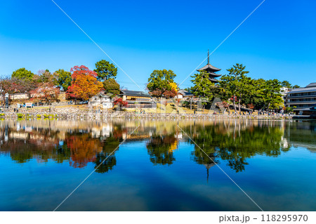 【奈良県】爽やかな青空が広がる猿沢池と興福寺 118295970