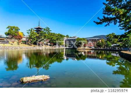 【奈良県】爽やかな青空が広がる猿沢池と興福寺 【奈良県】爽やかな青空が広がる猿沢池と興福寺 118295974