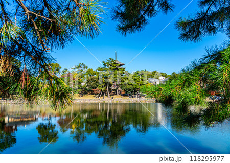 【奈良県】爽やかな青空が広がる猿沢池と興福寺 118295977