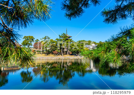 【奈良県】爽やかな青空が広がる猿沢池と興福寺 【奈良県】爽やかな青空が広がる猿沢池と興福寺 118295979