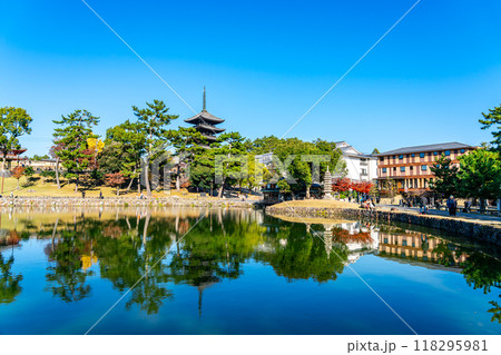 【奈良県】爽やかな青空が広がる猿沢池と興福寺 118295981