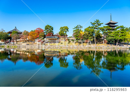 【奈良県】爽やかな青空が広がる猿沢池と興福寺 【奈良県】爽やかな青空が広がる猿沢池と興福寺 118295983